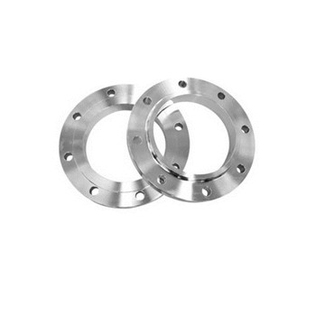 ANSI B16.5 Class 150 Slip sa Ss 304L Flanges Stainless Steel Welding Neck Flanges 