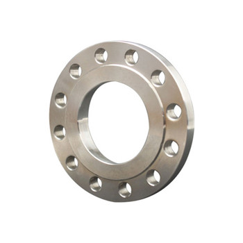 Ang stainless steel flanged fittings 