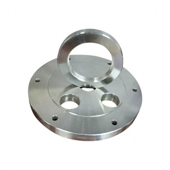 304L 316L Stainless Steel Forging / Forged Welded Neck Flange 