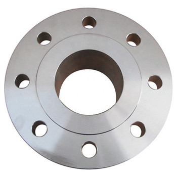 F304 / 304L F321 Stainless Steel Forged Flanges 