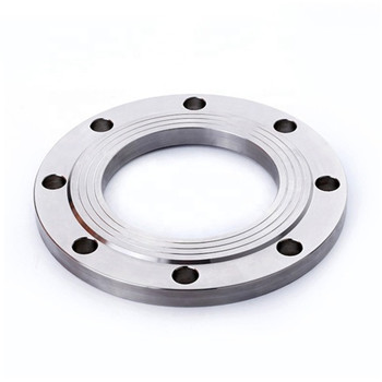Paglabay sa SUS304 Stainless Steel Flange 