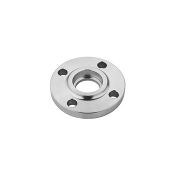 Ang stainless steel Threaded Flange (F316Ti, F317L, F309H) 