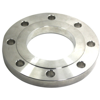 Ang stainless steel Forged Flanges A182 F321 F304 904L 316 F53 1/2