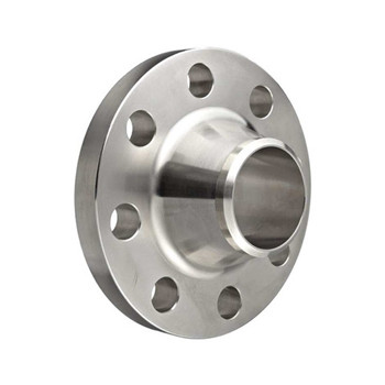 Ss 304/316 Flanges (YZF-F214) 