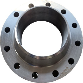 Ang stainless Steel Fitting F316 / 316L Wn Flange 