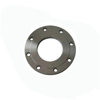 Ang Carbon Steel A105 / P245gh / C22.8 Stainless Steel 304/316 Forged Flange 