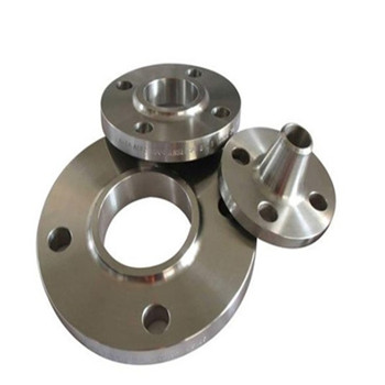Ang stainless steel Weld Neck Flange 