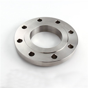 F316 / 316L ASTM A182 Stainless Steel Forged Flanges 