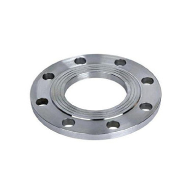 AISI304 Stainless Steel Sanitary Forged Plate Blind Flange 