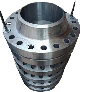 Ang stainless steel Forged Threaded Flange 