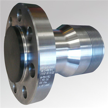 Austenitic Stainless Steel Flange (ASTM / ASME-SA 182 F316L, F316Ti) 