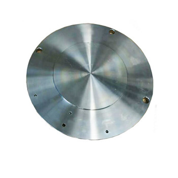 Ang ASTM A182 F304L F316L Stainless Steel Inox Casting Forged Flange 