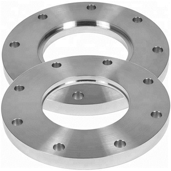 Ang stainless steel Forged Blind Plate Flange 