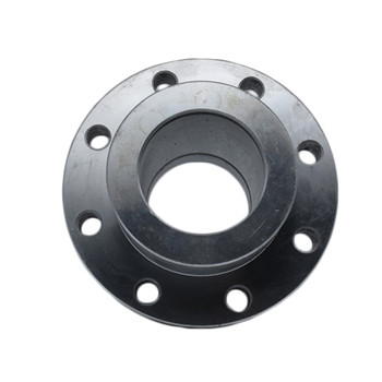 Ang Stainless Steel Forged Slip sa 316L Flanges 