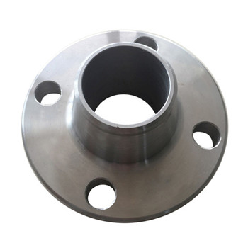 AISI Standard 304L Stainless Steel Forged Pipe Fittings Flange 