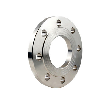 ASTM A182 F 316 Stainless Steel Flanges 