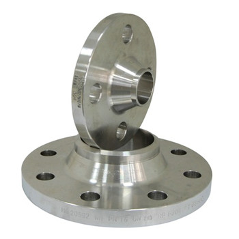 ASTM A182 Welding Neck Stainless Steel Forged Flange 