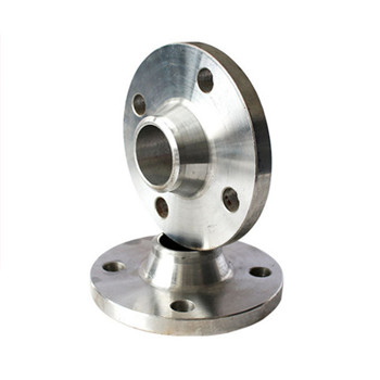 Ang stainless steel ASTM A182 F304 Sw Flange 30 Inch 