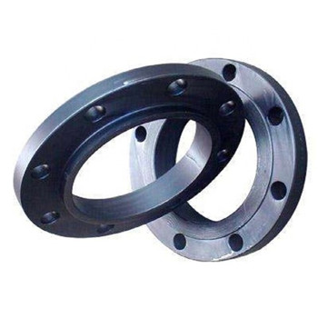 ANSI / DIN Forged Carbon / Stainless Steel Pn10 / 16 Welding Neck / Blind / Slip on / Flat / RF / FF Pipe Flanges 
