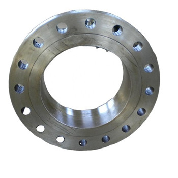 Ang ASTM B16.5 A182 F316 F316L Forged Stainless Steel Flange 
