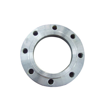A182 F304 F316L F304L Wn Stainless Steel Weld Neck Flange 