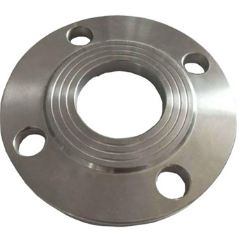 Ang ASTM A182 F317 / 317L Forged Stainless Steel Flanges 