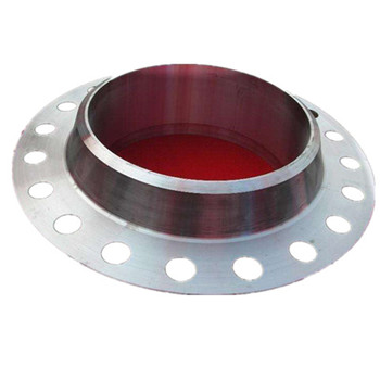 Ang ASTM A182 F304L F316L Stainless Steel Inox Casting Forged Flange 